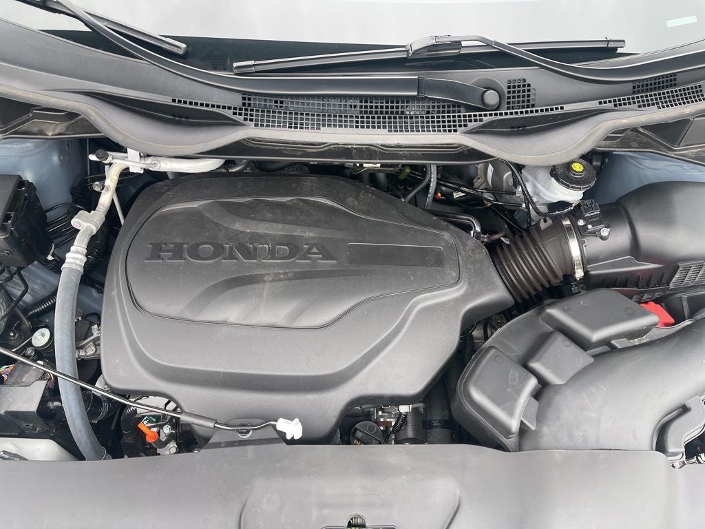 2024 Honda Odyssey Elite