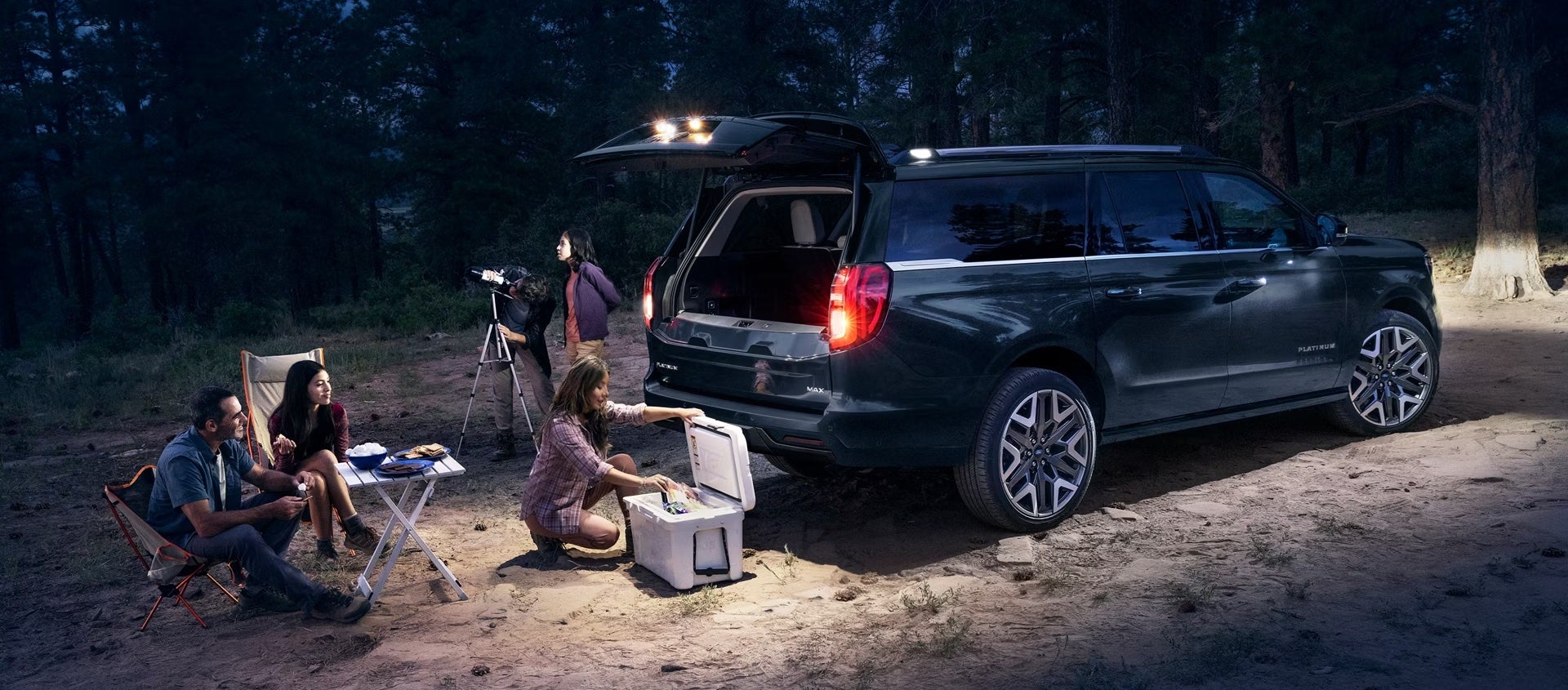 New 2026 Ford Expedition for sale in Marietta, OH